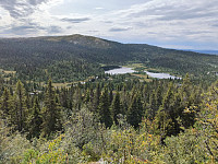 Olepetter_20240813_66bb43c719a93.jpg