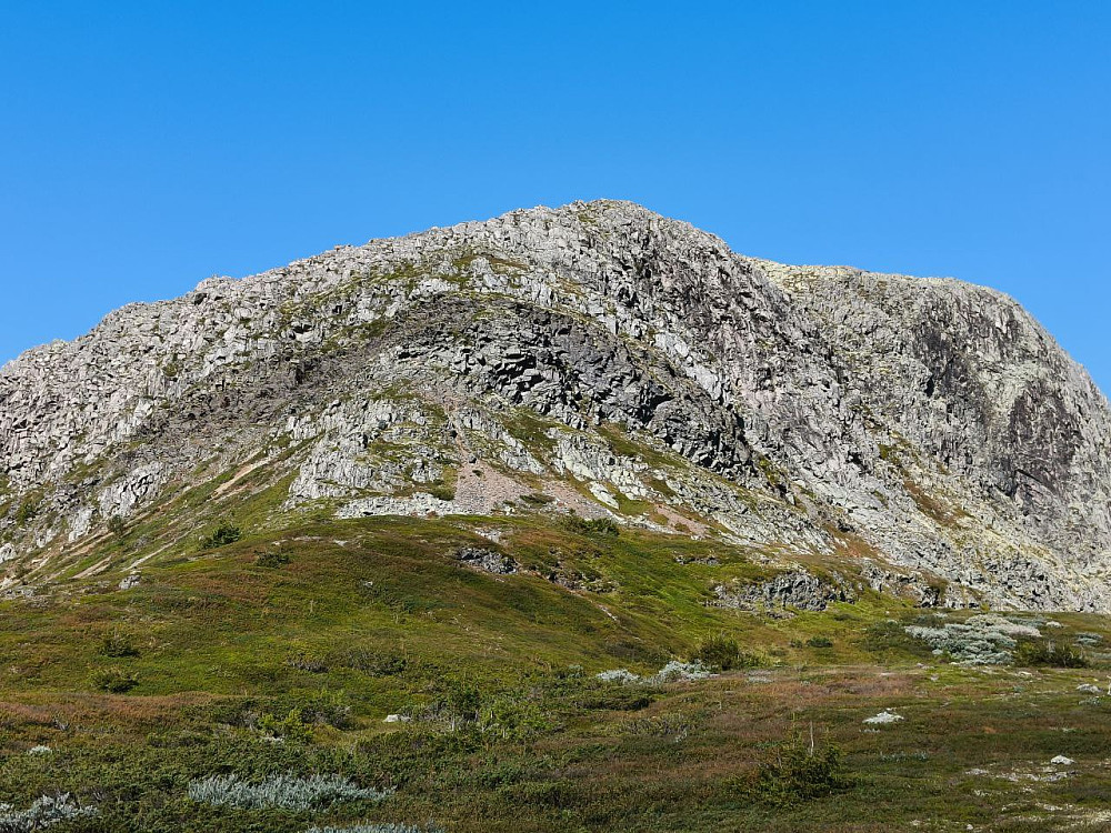 Som sedvanlig gikk jeg opp østegga, og koste meg med lett småklyving i bratta i sola - og ikke minst i le av vinden.