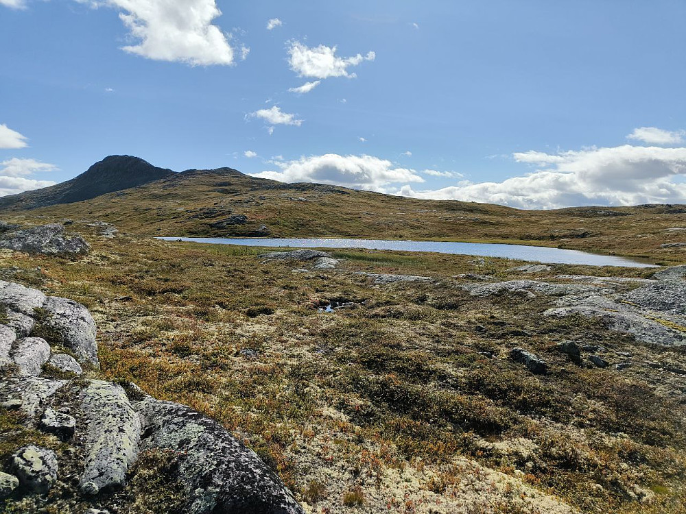 Skarvemellen var nå rykket nærmere.