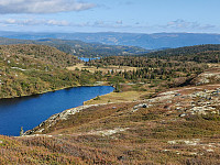 Olepetter_20240830_66d1dab9244a5.jpg