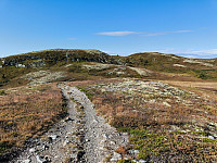 Olepetter_20240830_66d1daba2b703.jpg
