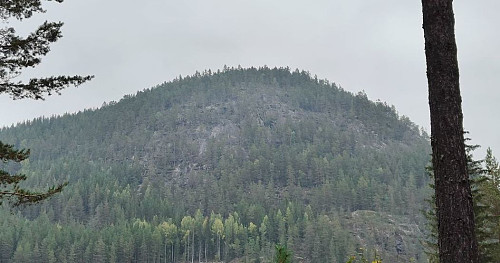 Knatten sett fra skytebanen.