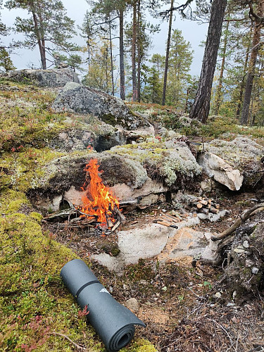 Digg med knusketørre furugreiner som brenner som om de var marinert i rødsprit.