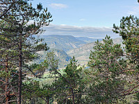 Olepetter_20240915_66e6cd9d0f75c.jpg