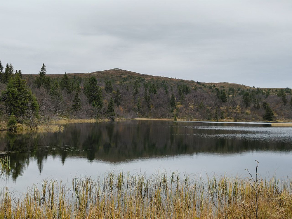 Omtrent vindstille ved Fræningen. Fjellenden bak.