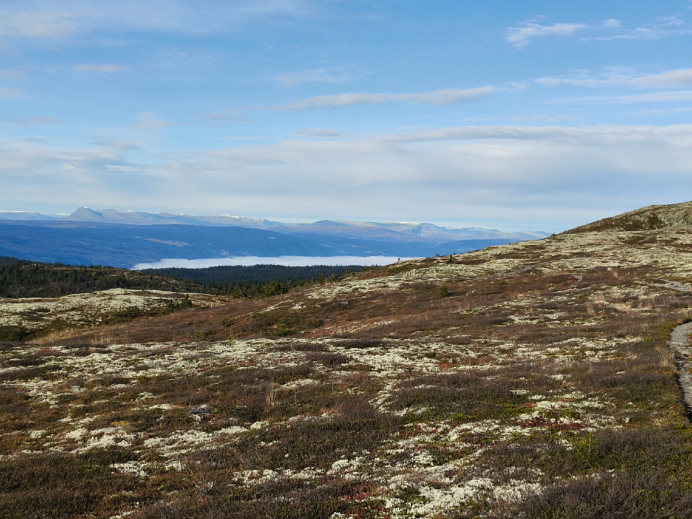 Litt snø på toppen av Skogshorn
