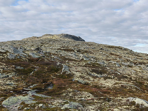 Mot toppen av Skarvemellen.