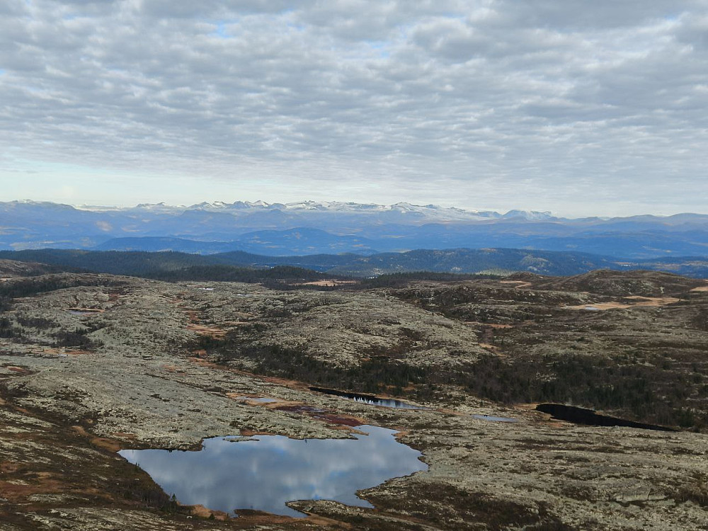 Snø på toppene i heimen nå. Det var omtrent vindstille på toppen i dag.