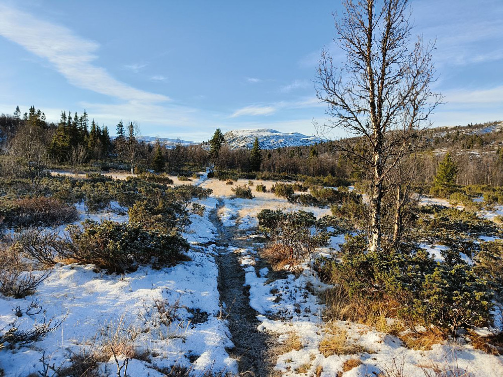 Har parkert sykkelen og går stien ned mot Naustevollen og Naustvolltjernet. Meitebekkfjellet bak.