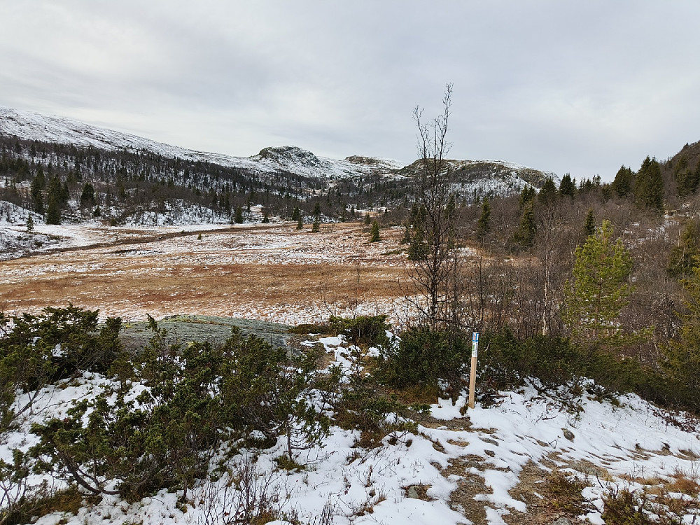 I øvre del av Bjødalen, mot Skurveknatten og Meitebekkfjellet.
