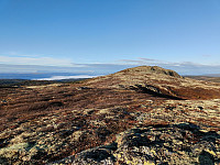 Olepetter_20241026_671ce7b5018cd.jpg