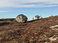 Olepetter_20241114_6735fd35c4ba9.jpg