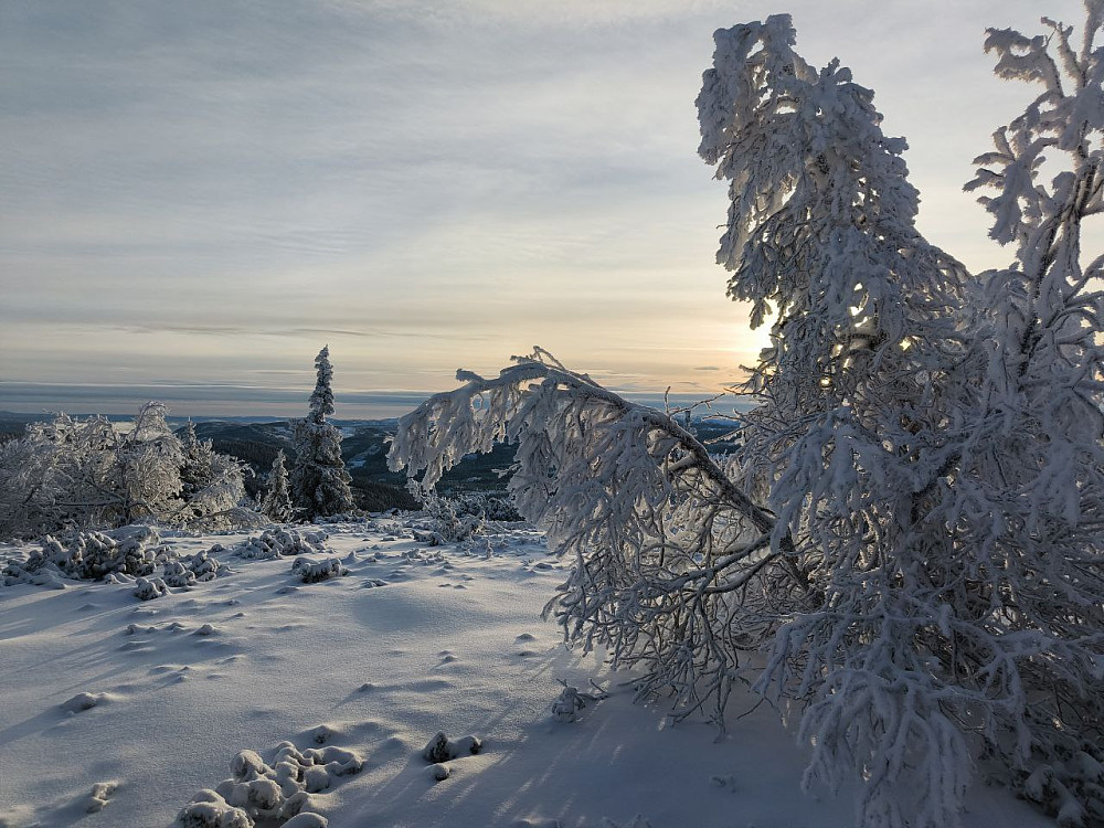Fint lys etter hvert, og stemningsfull dekor på trærne.