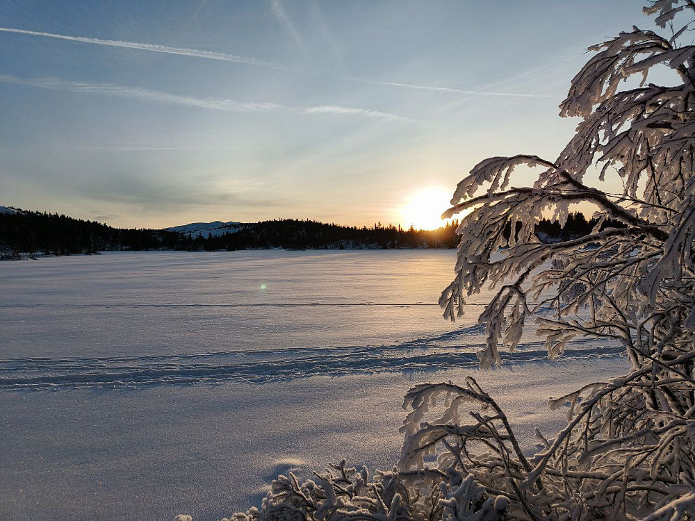 Magisk morgenstemning ved Fræningen.
