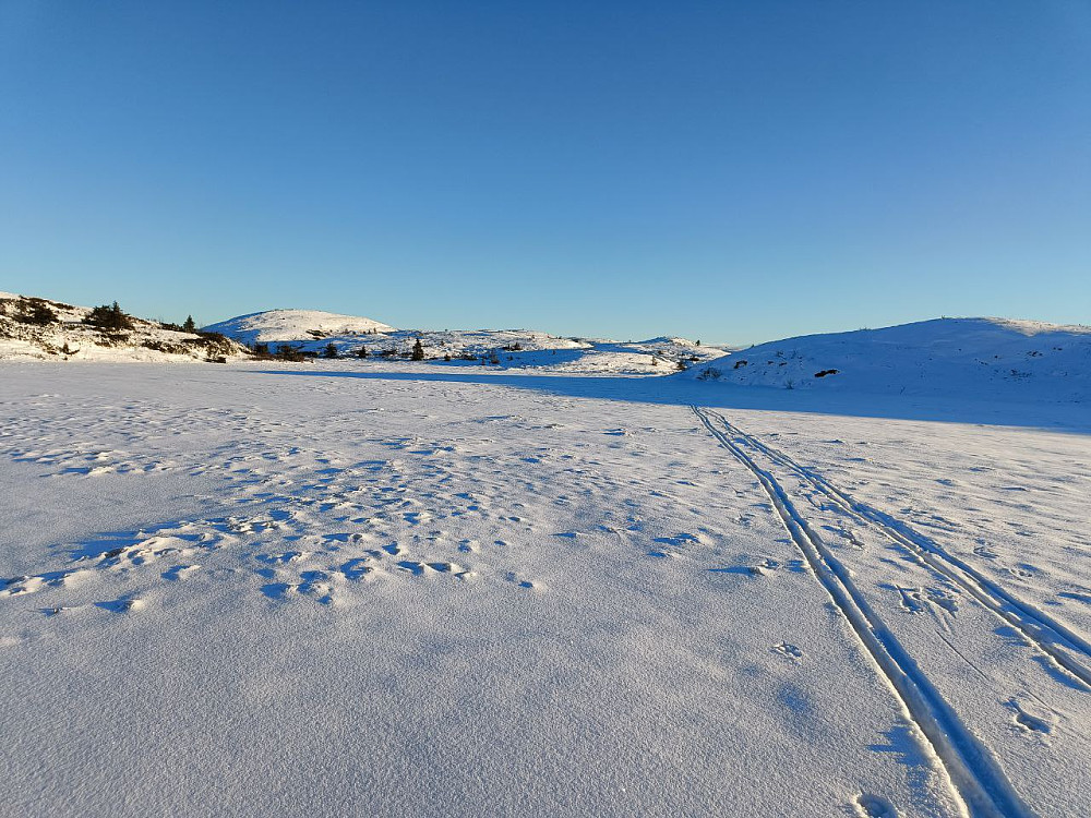 Velger gjerne å gå over vannene og myrene nå. (Einerkratt er fortsatt et problem på fjellet, da det er for lite snø til å dekke det.)