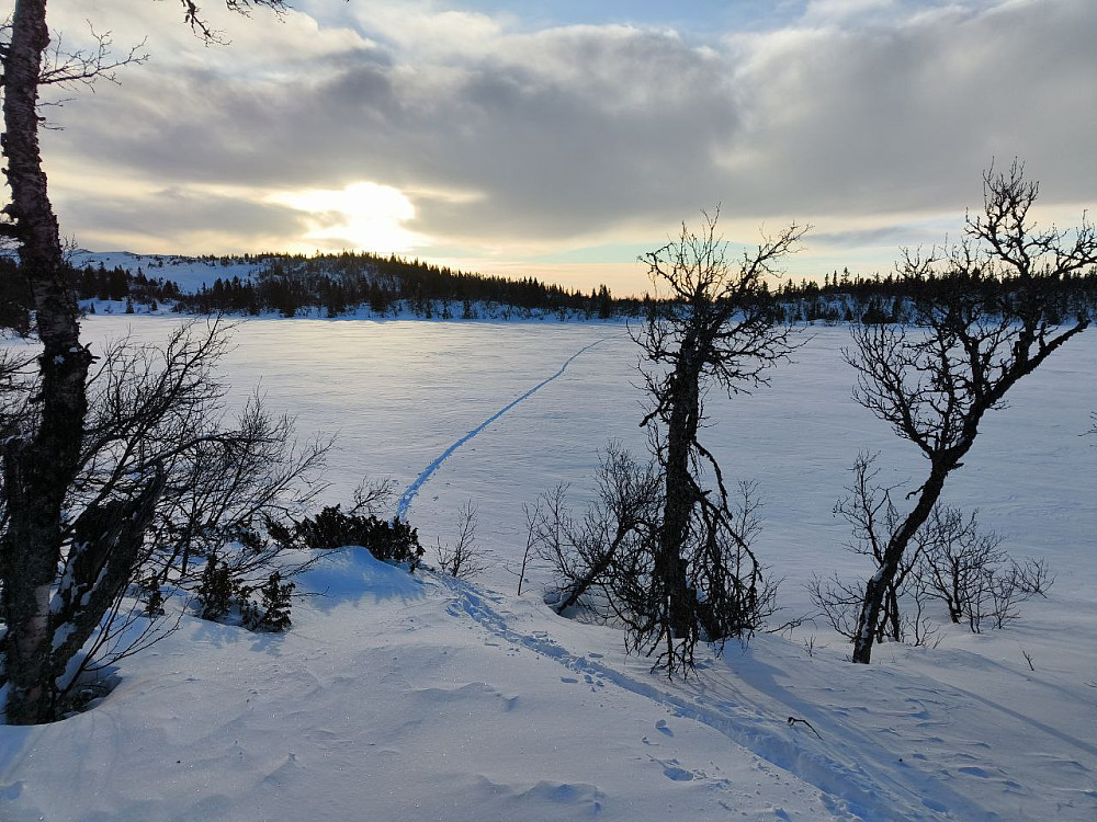 Returnerer i egne skispor over Fræningen.