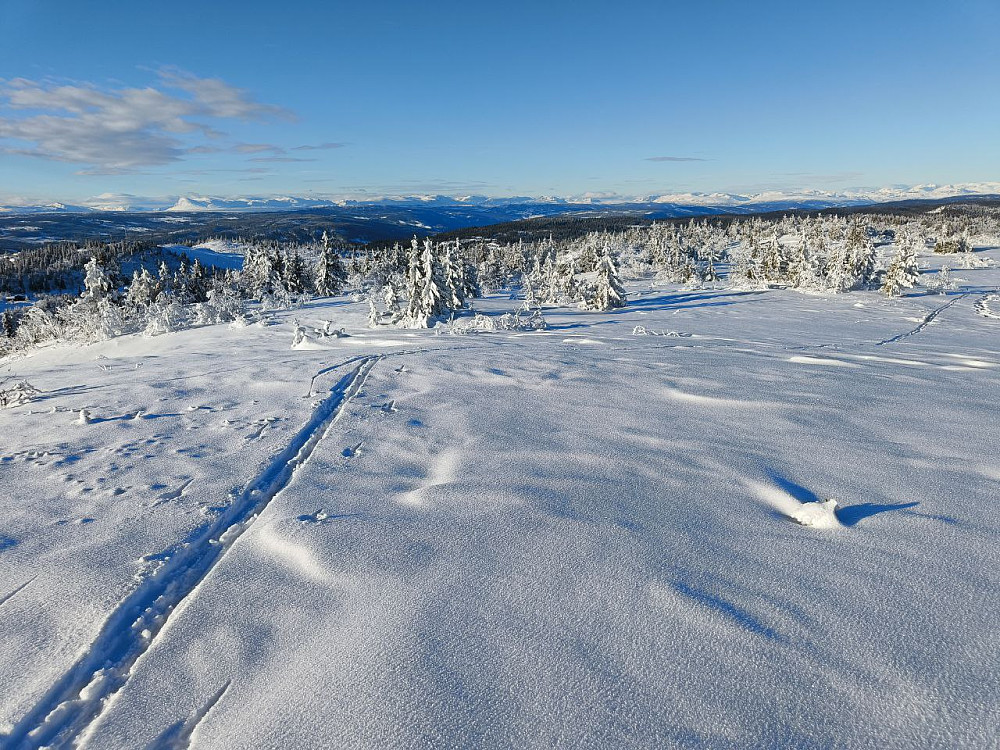 Endelig var det "heldekkende snø og pudder" overalt på åsen, og enkelt å gå hvor som helst.