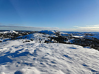 Olepetter_20250131_679cda818bcec.jpg