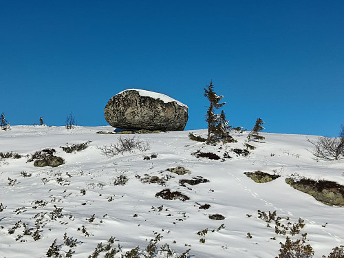 Fikk lyst til å stikke oppom Tynna også, et sted jeg ikke har vært på ski tidligere (hvilket er smått utrolig når det er Makalausfjellet vi snakker om...)