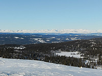 Olepetter_20250212_67ac994d933b9.jpg