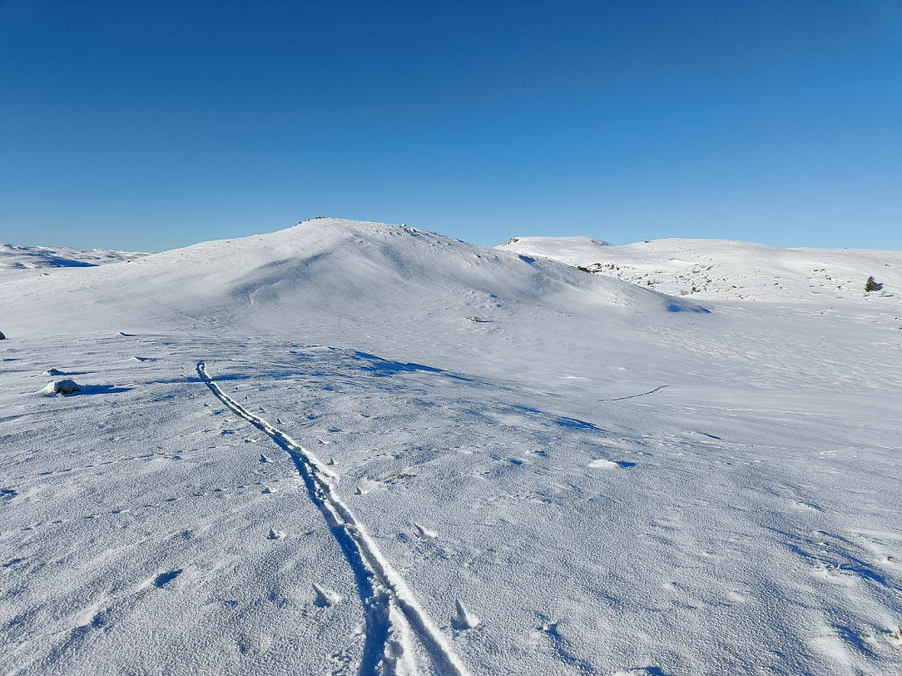 Østtoppen, som skjuler Langehallfjellet. Liker å sette egne skispor i pudderet!