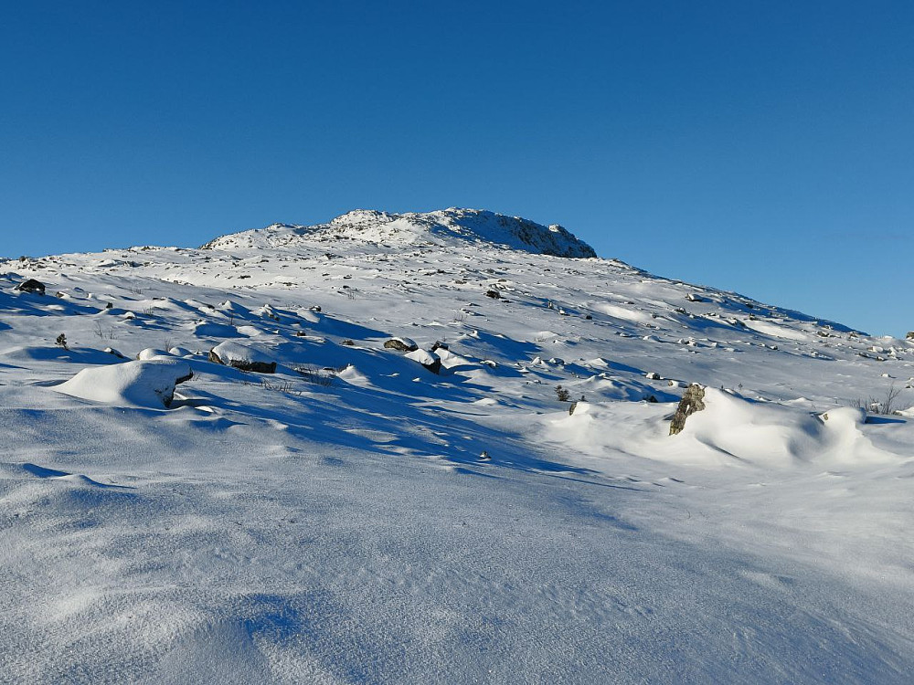 I det jeg kom over tregrensa og så mot toppen av Skarvemellen, fikk jeg en laber bris rett i fjeset. Så da var det på med vindjakke og alpinbriller.