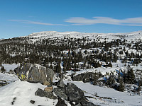 Olepetter_20250314_67d42cb6373ef.jpg