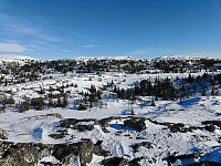 Olepetter_20250314_67d42cb6bfde3.jpg