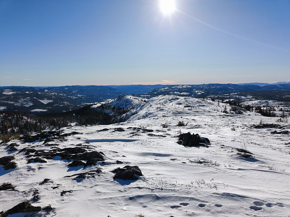 Fjellsvarden lot jeg være i dag.
