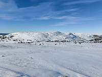 Olepetter_20250314_67d42e0f44402.jpg