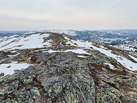 Olepetter_20250324_67e15b2cc05d5.jpg