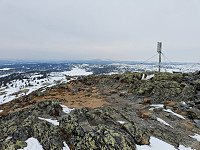Olepetter_20250324_67e15b2d4da43.jpg