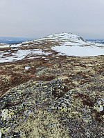 Olepetter_20250324_67e15b2dc7328.jpg