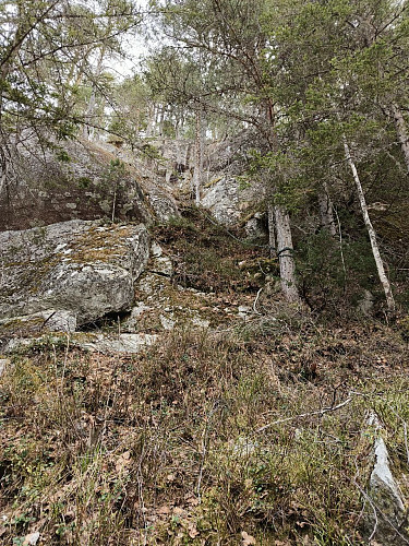 Innsteget; en bratt gressrenne på 15-20 meter.