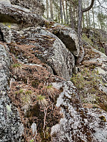Olepetter_20250413_67fbb00f83ffe.jpg