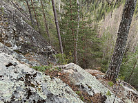 Olepetter_20250413_67fbb01016017.jpg