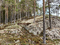 Olepetter_20250413_67fbb09f87276.jpg
