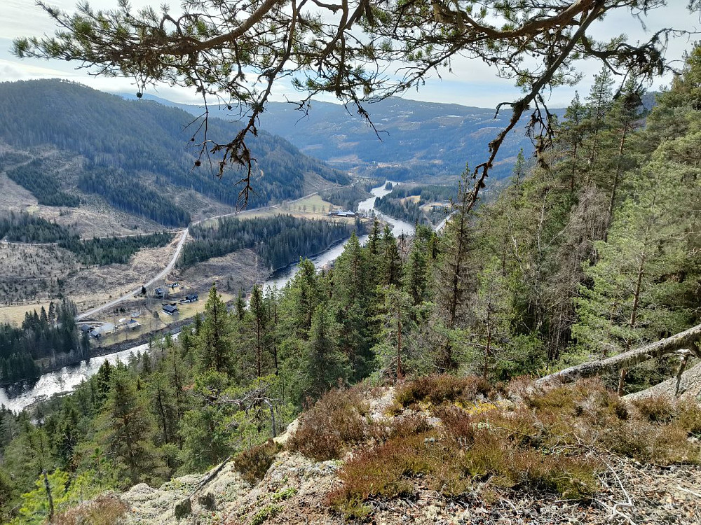 Fineste bildet i dag, utsyn over dalen og Begna, sett fra sørtoppen.