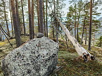 Olepetter_20250415_67fe2fce6a4ca.jpg