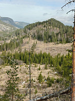 Olepetter_20250415_67fe2fcf8605f.jpg