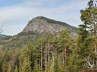 Olepetter_20250415_67fe2fd088887.jpg