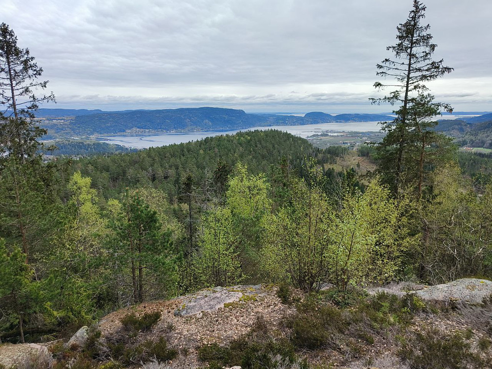 Utsiktspunktet på Ebbestadkollen over Drammensfjorden.