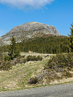 Olepetter_20250529_683834036e102.jpg