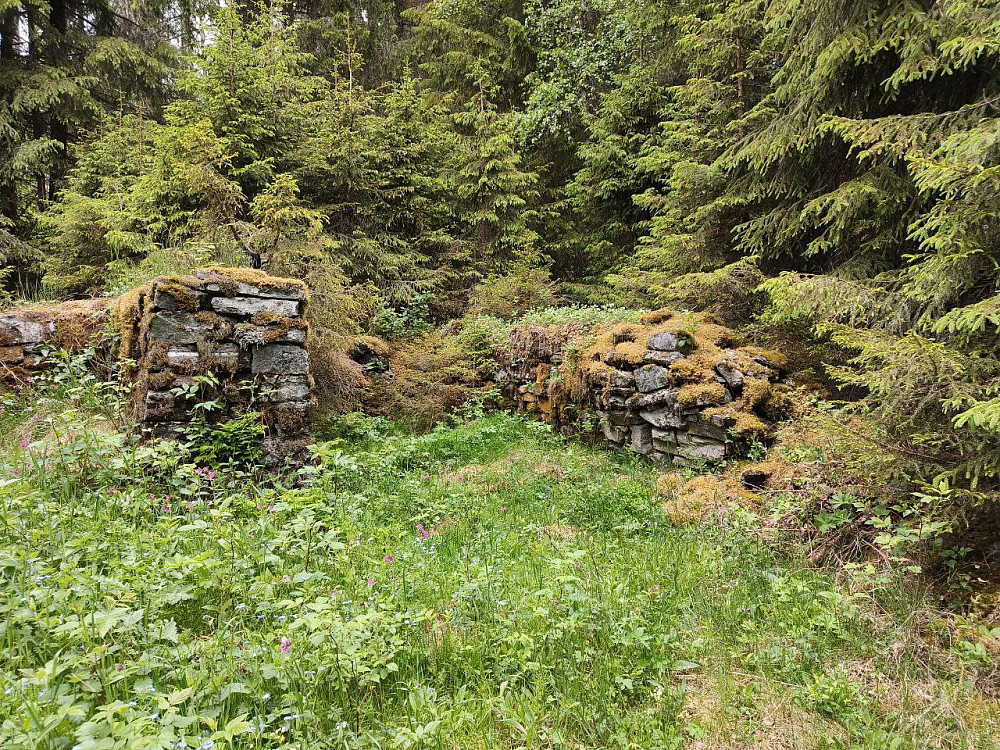 Gamle tufter; Lundal nedenfor Song i Liagrenda.