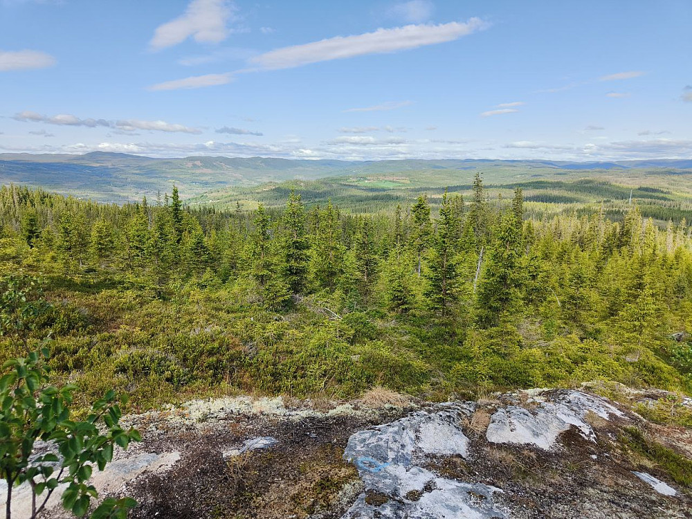 Tilbakeblikk underveis, vidstrakte Hedalen. Busufjell, som jeg var på for noen få dager siden, bak til venstre i bildet.