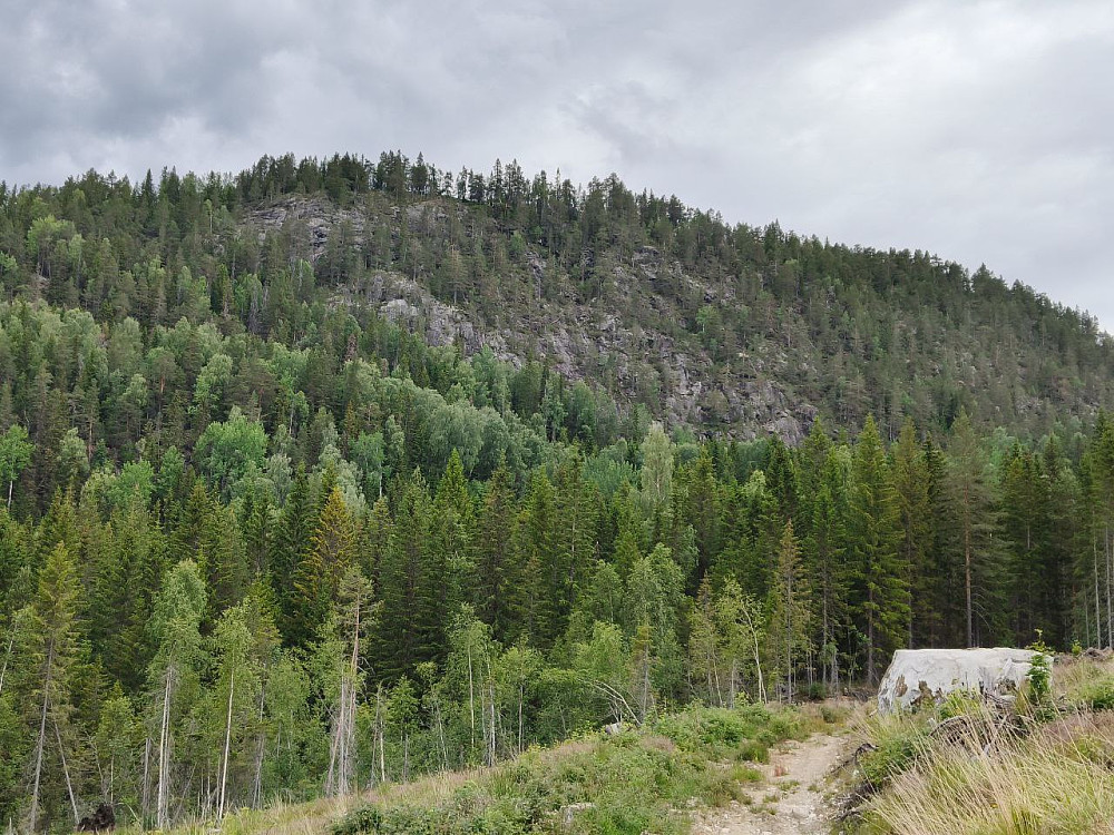 Midtknatten sett fra skogsmaskin-ruta.