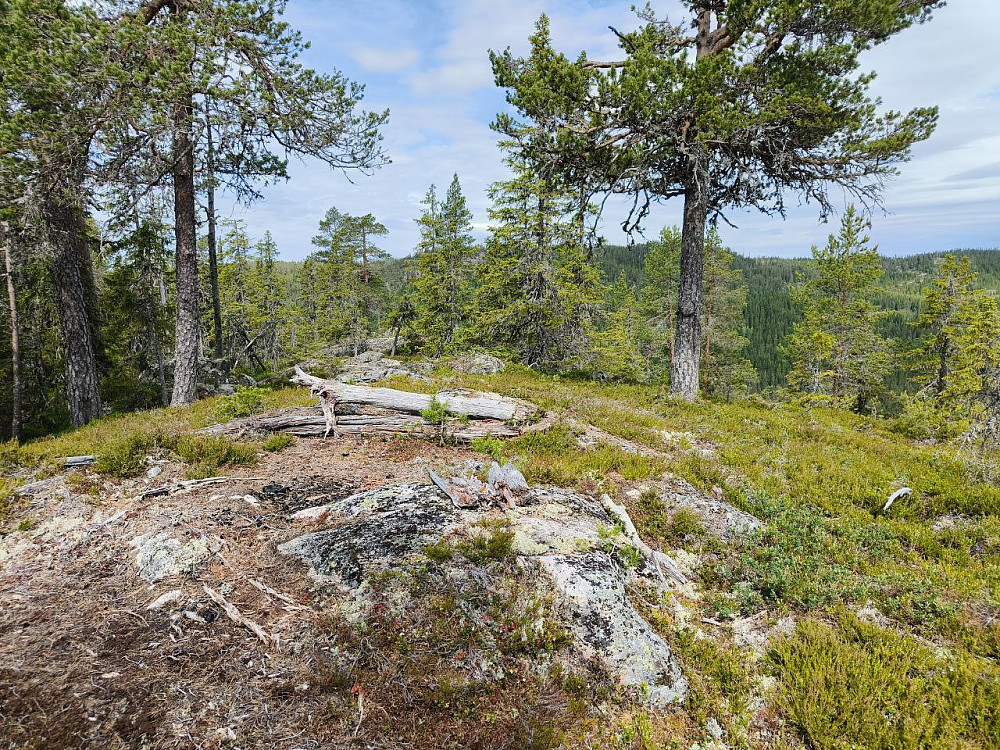 Litt begrensa utsikt på Midtknatten.
