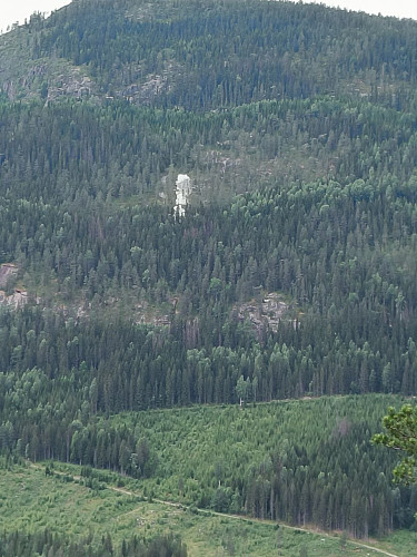 Zoom på noe mystisk oppi lia på motsatt side av dalen. Så ut som et snøfelt! Umulig! Hvit landbruksplast som har blitt tatt av vinden? Neppe. Er det vannet som har skurt mot vegetasjonen, og bar marmor-klippe? Kanskje... Er nesten fristet til en tur oppi der for å finne ut av dette!