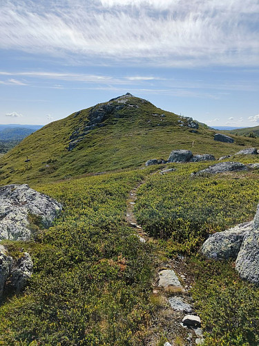 Fin topp til Sør-Aurdal å være! Store Syningen øst.