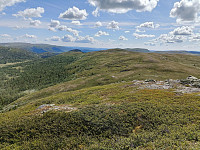 Olepetter_20250711_68711ecd6100d.jpg
